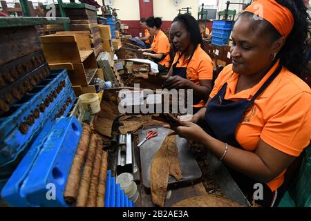 Havana, Cuba. 27th Feb, 2020. Cigar makers roll cigars at a factory of La Corona in Havana, Cuba, Feb. 27, 2020. TO GO WITH 'Feature: Rolling cigars becomes family tradition in Cuba' Credit: Joaquin Hernandez/Xinhua/Alamy Live News Stock Photo