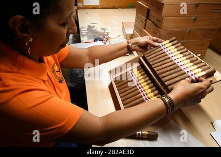 Havana, Cuba. 27th Feb, 2020. A cigar maker packages cigars at a factory of La Corona in Havana, Cuba, Feb. 27, 2020. TO GO WITH 'Feature: Rolling cigars becomes family tradition in Cuba' Credit: Joaquin Hernandez/Xinhua/Alamy Live News Stock Photo