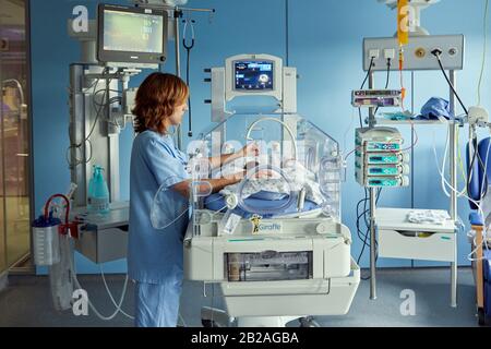 Nurse taking care of baby in the incubator, Neonatal pediatrics ...