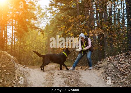 Woman And Black Purebred Shepherd In Nature Outdoor Stock Photo