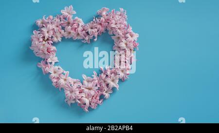 Flowers composition. Wreath made of Hyacinth Pink flowers on blue background in shape of heart frame. Easter, spring, summer, Valentines day concept. Stock Photo