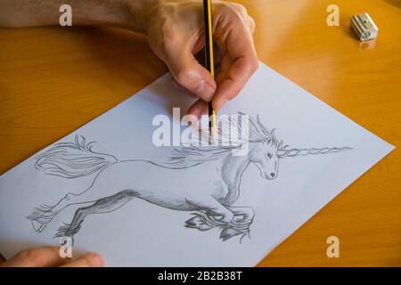 How to Draw a cute Unicorn / Unicorn drawing / How to Draw Unicorn / pencil  sketch /pencil drawing - YouTube