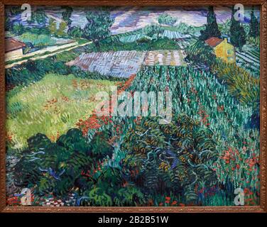 Field With Poppies 1889 Painting By Vincent Van Gogh - Very High ...