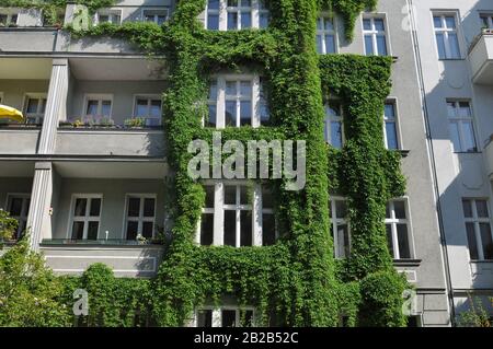 Altbau, Fassadenbegruenung, Rosenheimer Strasse, Schoeneberg, Berlin, Deutschland Stock Photo