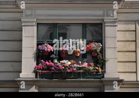 Blumen, Fenster, Kolonnenstrasse, Schoeneberg, Berlin, Deutschland Stock Photo