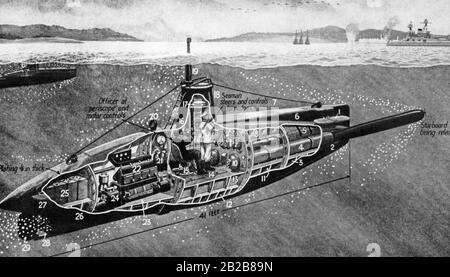 detailed-illustration-of-a-