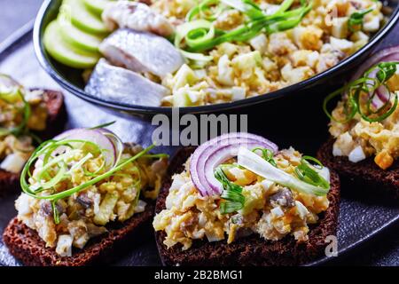 Fish appetizer, minced herring fillet with apple and egg on toasted rye bread, homemade traditional Jewish cuisine dish forshmak on a black plate, hor Stock Photo