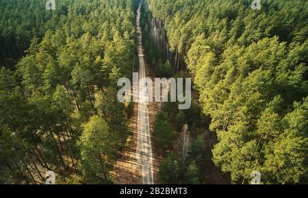 Country road in middle of forest above drone view in summer time Stock Photo
