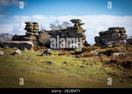 Rocky landscape, Brimham rocks, Nidderdale, North Yorkshire Stock Photo