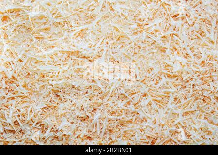 background of the golden curls of wood shavings Stock Photo