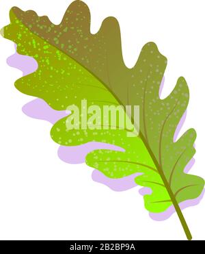 Green oak leaf textured with shadow, isolated on white background. Realistic single nature icon, ecology symbol flat element. Stock vector illustration. logo design. Stock Vector