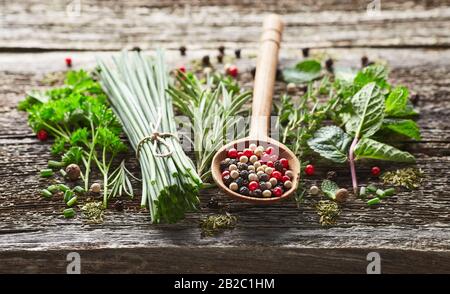 Herbs and spices on a wooden background Stock Photo