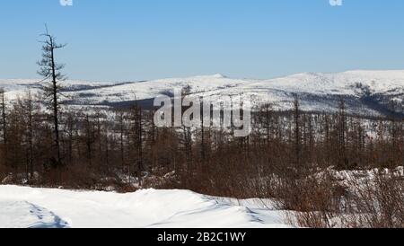 Winter landscape with hills and forest in South Yakutia, Russia Stock Photo