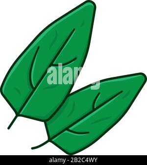 Spinach leaves vector illustration for Spinach Day on March 26th. Leaf vegetable color symbol. Stock Vector