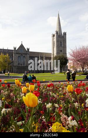 Flowers in St. Patrick's Park and St. Patrick's Cathedral in Dublin City, Ireland Stock Photo