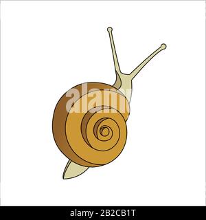 Snail, Top view. Symbol of Slowness. Modern flat Vector illustration on white background. Stock Vector