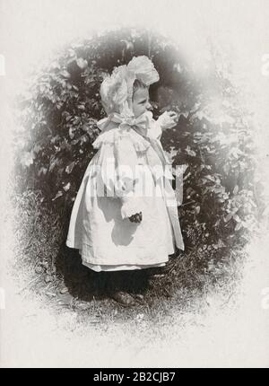 Antique 1898 photograph, young boy in dress (age 3-5) in Central Park, New York City, New York. SOURCE: ORIGINAL PHOTOGRAPH Stock Photo