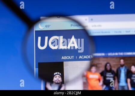 Los Angeles, California, USA - 3 March 2020: University of California, Los Angeles UCLA website homepage logo visible on display screen, Illustrative Stock Photo