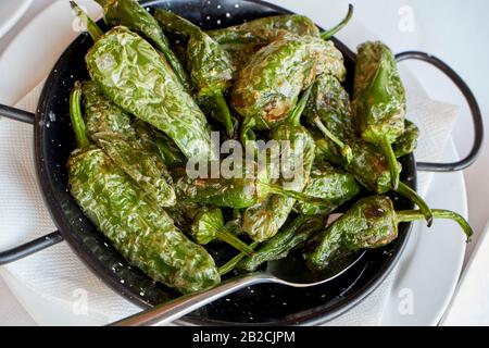 spanish padron peppers pimentos de padron served as part of a tapas meal Lanzarote canary islands spain Stock Photo