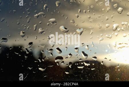 Close up of raindrops on a window with a low setting sun behind Stock Photo