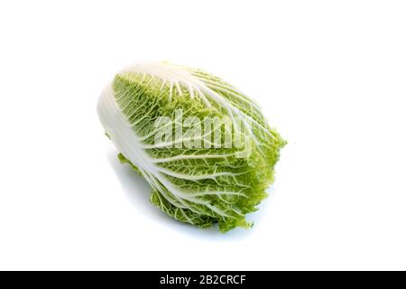 Chinese cabbage isolated on white background Stock Photo
