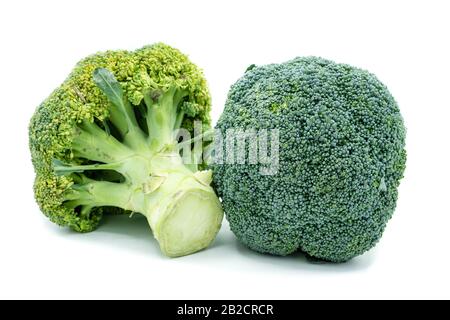 Broccoli isolated on white background Stock Photo