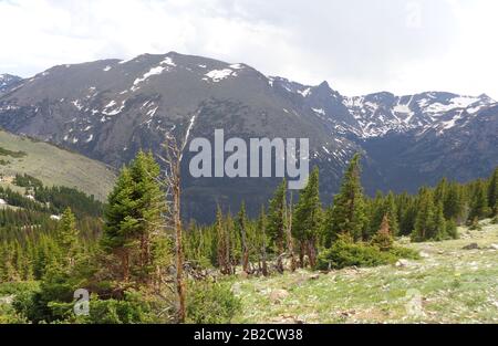 Early Summer in Colorado: Forest Canyon and Stones Peak Seen from Trail Ridge Road Near Ute Trailhead in Rocky Mountain National Park Stock Photo