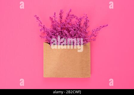 Bright purple or violet lavender flowers in craft brown envelope with copy space isolated on pink background. Trendy monochrome banner for Valentines Stock Photo