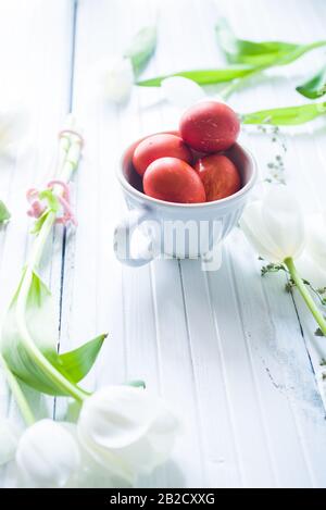 Naturally dyed eggs with red onions are inside a white bowl, with fresh tulips with white flower around, top view, easter concept, minimalistic compos Stock Photo