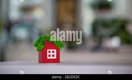 Green house concept. Cafe shop unusual plants. Stock Photo
