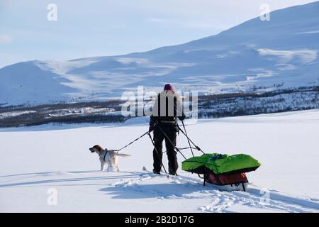 Pictured is a person with their dog and sledge walking in Norway. Stock Photo