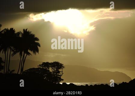 Dramatic sunset, with sun rays piercing clouds, silhouetted palm trees on coastal shoreline on the North Shore of Oahu, Haleiwa, Hawaii, USA Stock Photo