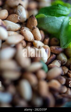 Close-up of pine nuts and basil leaves Stock Photo