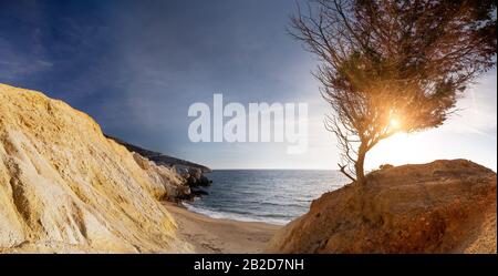 Amazing sunset on Milos island. Sandy beach and soft Aegean sea surf. Lonely tree growing at colorful rock. Evening sun shining in brunches and leaves Stock Photo