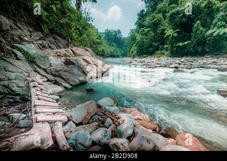 Mysterious mountainous jungle with trees leaning over fast stream with rapids. Magical scenery of rainforest and river with rocks and wooden bridge. N Stock Photo