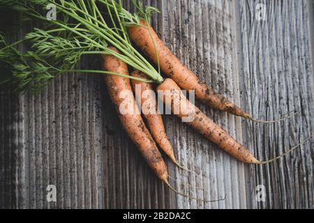 Bunch of Carrots on Wood Table Stock Photo