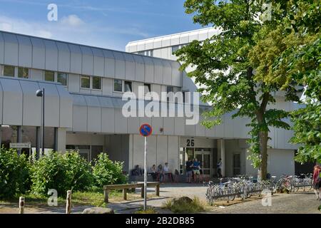 Silberlaube, Freie Universitaet, Habelschwerdter Allee, Dahlem, Steglitz-Zehlendorf, Berlin, Deutschland Stock Photo