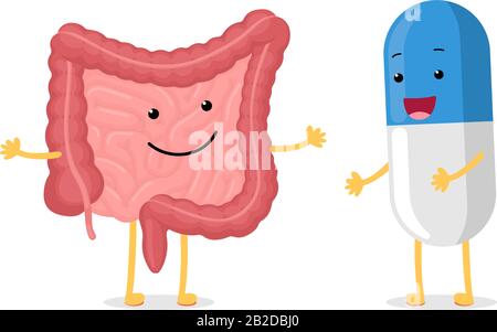 Cute cartoon healthy intestine and smiley medicament pill character. Abdominal cavity digestive and excretion human internal organ with probiotic or antibiotic capsule. Vector drug illustration Stock Vector