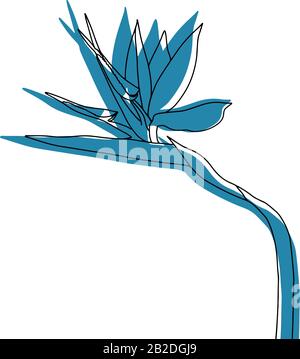 Strelitzia reginae tropical south africa flower isolated on white background. Silhouette and outline vector stock illustration.bird of paradise. Stock Vector