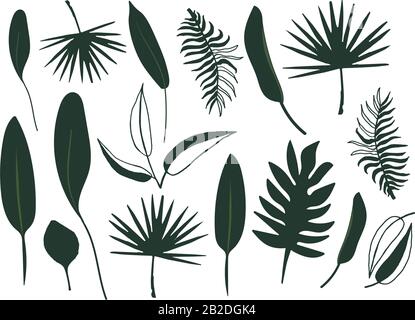 Set of abstract tropical leaves. Vector isolated stock elements on a white background. Silhouette floral foliage. Exotic flat design. Stock Vector