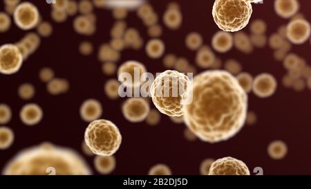 Micro-organisms bacteria cells, science en medicine background. 3D render Stock Photo