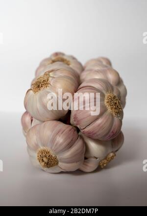 White and purple garlic head on a black background Stock Photo