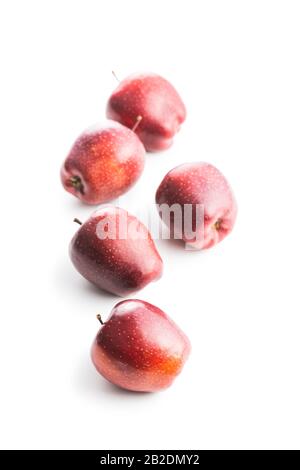 Ripe red apples isolated on white background. Stock Photo