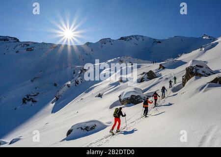 Ski tourers in winter, sunshine and blue sky, ascent to the Geierspitze, Wattentaler Lizum, Tux Alps, Tyrol, Austria Stock Photo