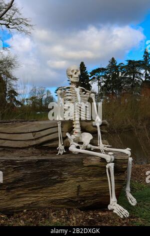 Skeleton human sitting on the wooden bench in park. Halloween Stock ...