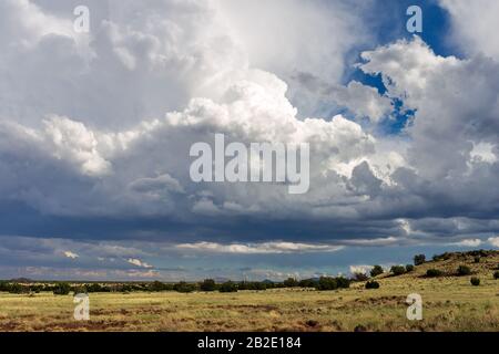 Summer cloudscape with white, billowing cumulonimbus clouds from a developing thunderstorm near Flagstaff, Arizona Stock Photo