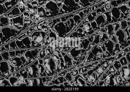 Texture of genuine patent leather with embossed scales reptiles close-up, trendy natural black background Stock Photo