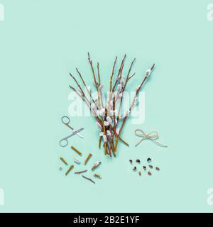 Branches with kidneys, scissors on a light background. Easter spring flat lay concept. Stock Photo