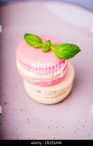 Pink raspberry and beige vanilla macaroons with basil on a ceramic plate Stock Photo