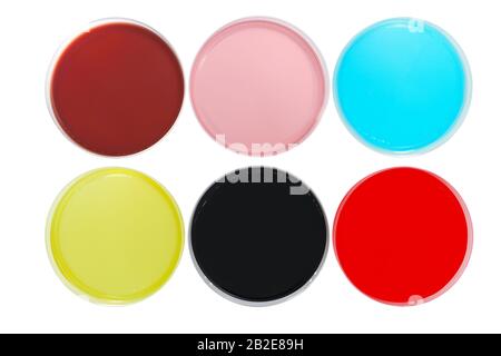 Different colours petri dishes for experiments in a science laboratory Stock Photo